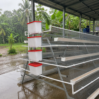 Cages à poules pondeuses galvanisées de type A pour élevage avicole, cages à œufs pour poulaillers, équipement d'élevage de poulets