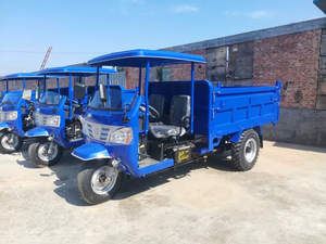 Tricycles Populaires avec Pneu de Rechange, Moteur <span class=keywords><strong>à</strong></span> Cylindrée, <span class=keywords><strong>Moto</strong></span> <span class=keywords><strong>à</strong></span> Trois <span class=keywords><strong>Roues</strong></span>, Tricycle Cargo Motorisé - Product Image 3