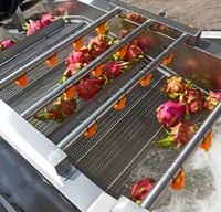 Commerciële Industriële Luchtbel Fruit Avocado Mango Groente Aardappel Water Wasmachine/Bevroren Groente Productielijn