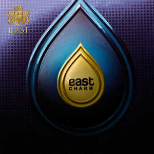 Eastbox Logo personnalisé boîte rigide papier feuille d'or huile essentielle parfum de luxe présent emballage boîte de parfum - Product Image 2