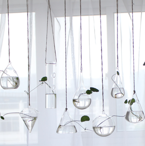 Ronde larme ange coeur hexagone clair Globe <span class=keywords><strong>suspendu</strong></span> Terrarium Air-<span class=keywords><strong>plante</strong></span> jardin <span class=keywords><strong>boule</strong></span> de <span class=keywords><strong>verre</strong></span> sphère photophore SUCCULENT titulaire - Product Image 2