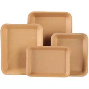 Disposable Biodegradable Paper Food Tray for Sushi Cake Meat Hot Dog at Street Snack Shop BBQ Packing