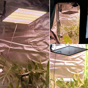 Lámpara LED de Cultivo de Espectro Completo, 40W, AC85-240V, para Cultivo Interior en Invernadero - Product Image 6