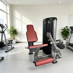 Machine d'extension des jambes assise Life Fitness <span class=keywords><strong>Sunforce</strong></span> – Équipement de musculation professionnel haut de gamme à charge libre pour l'extension des jambes - Product Image 3