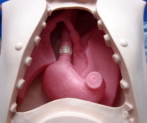 Advanced PVC Half-body <strong>Nursing</strong> Manikin Human Life Size NG Tube and Trachea <strong>Nursing</strong> Care <strong>Trainer</strong> - Product Image 6