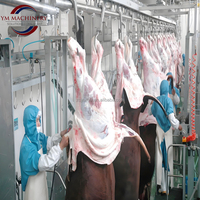 Ligne complète d'abattage de viande bovine Machine d'abattage et de décapage automatiques à haute productivité avec roulement moteur Capacité 200