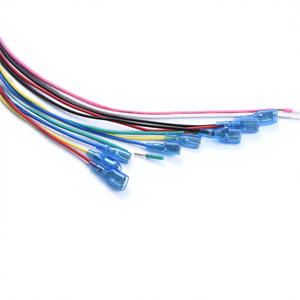 铜芯2芯电子线束 - Product Image 2