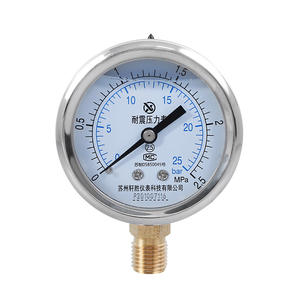 Manomètre Suzhou Xuansheng YN60 2,5 MPa en acier inoxydable anti-vibration, raccord fileté 60 mm - Product Image 1