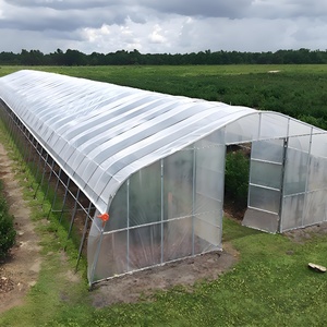 Agriculture Tomate Tunnel à travées multiples Serre Agricole Maison Verte Cadre Métallique Horticulture Serre Tropicale Prix - Product Image 6