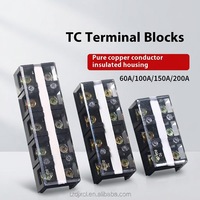 Bornier de connexion série TC en cuivre pur, type à vis, 60A 100A 200A 300A 400A 600A 800A 1000A