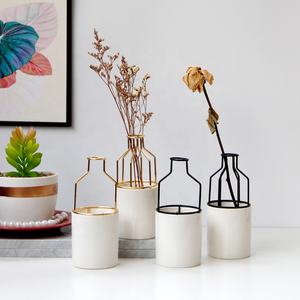 Jarrón de Plantas Hidropónicas de Cerámica y Arte de Hierro Metálico, Decoración de Escritorio de Estilo Nórdico Moderno y Simple para el Hogar - Product Image 3