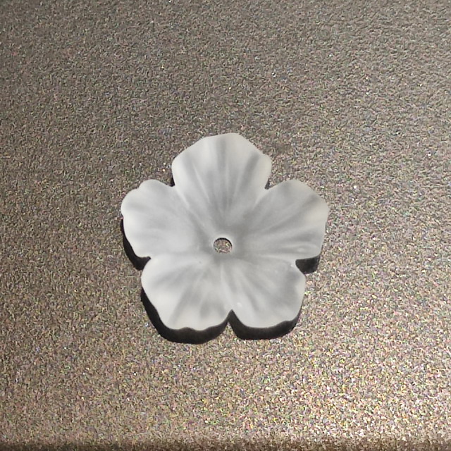 F19VNW02-12   เอฟ19วีเอ็นดับเบิลยู02-12