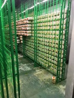 Conteneur de culture de champignons en acier inoxydable Hezhou, équipement d'agriculture, pompe à moteur, système hydroponique, culture verticale de champignons comestibles