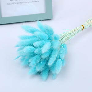 Queues de lapin blanches, fleurs sèches naturelles, mignonnes queues de lapin conservées, lagus pour la décoration de la maison - Product Image 3