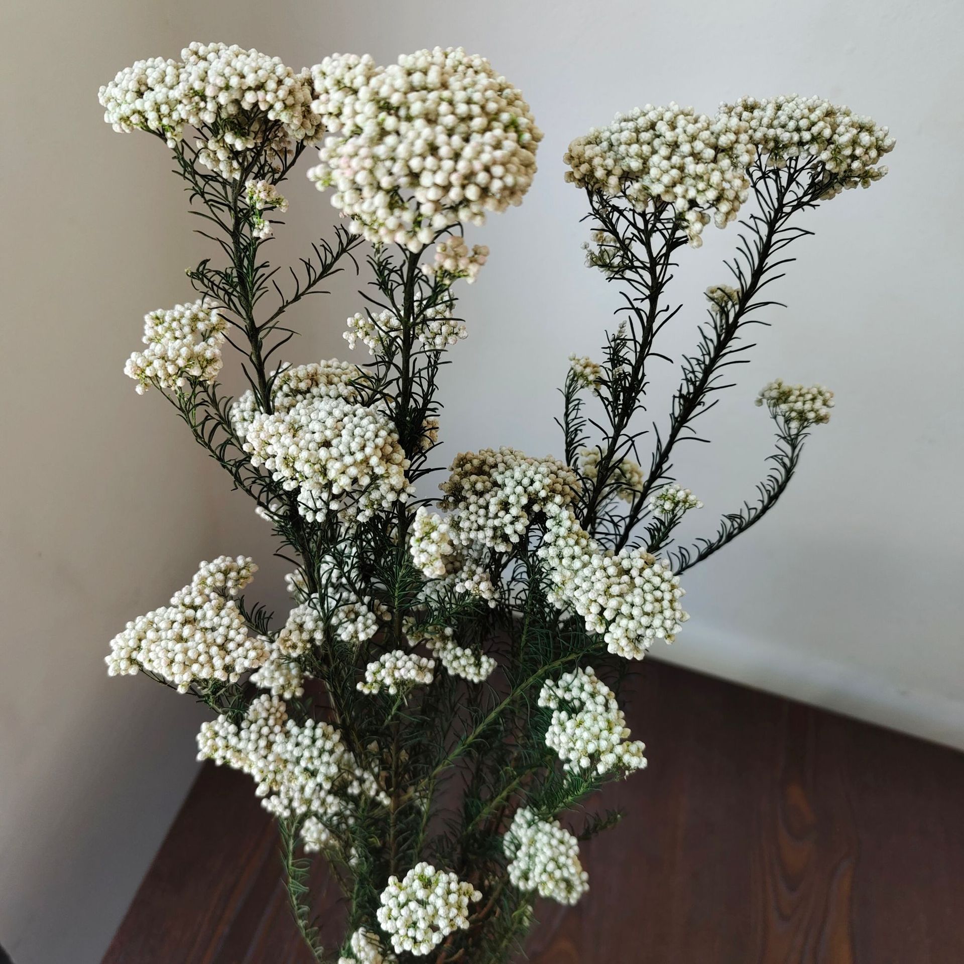Tige verte, blanc infusé de couleur