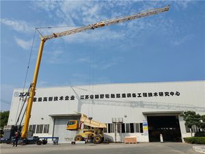 Grúa Torre Autoerigible de 4 Toneladas con Certificación CE en Venta - Product Image 6