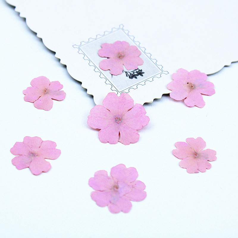 light pink 100pcs