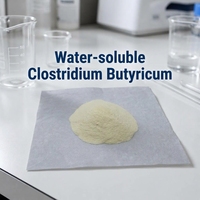 Probiotiques pour l'eau potable des animaux aquatiques, Clostridium Butyricum soluble dans l'eau, inhibe la croissance, certifié ISO22000
