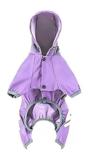 Viola