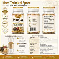 Capsules de Maca en Grande Quantité OEM, Capsules de Racine de Maca Naturelle, Extrait de Maca