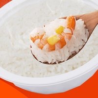 High Quality Instant Microwavable Ready-to-Cook Precooked Rice 210g with 9 Months Shelf Life for Fast Meal Preparation