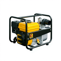 Outil de pompage portable haute efficacité 4,2 kW 220 V pour eau propre 50 Hz/60 Hz pour l'irrigation agricole et l'arrosage des vergers, puissance stable