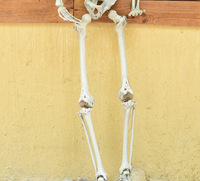 Accessoires décoratifs animés d'Halloween corps humain articulations mobiles taille personnalisable réaliste de haute qualité squelette d'Halloween