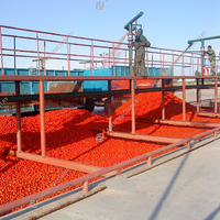 Automatisering 1 ton per uur industriële tomatenpuree NFC-sap ketchup saus productielijn