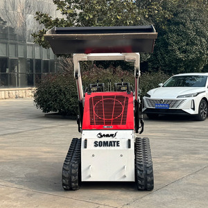 Mini Skid Steer Loader Gasoline Powered Heavy Duty Crawler Drive <b>Track</b> Front Attachment Gearbox Gear High Motor <b>Pump</b> Bearing - Product Image 2