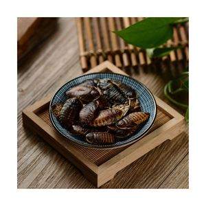 Lot de 25 insectes comestibles, vente en gros, faux ver alimentaires, écologiques frais, dubien cafard - Product Image 1