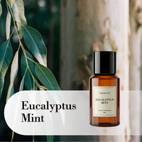 Huile parfumée à la menthe eucalyptus, notes végétales naturelles, huile aromatique 50/100/500ml, recharge de diffuseur, huile parfumée pour hôtel, maison, bureau