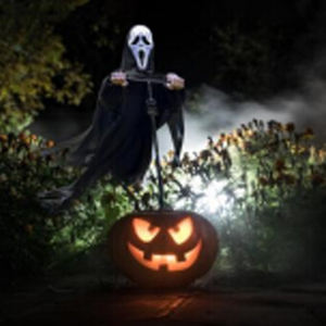 Éloigne-oiseaux réaliste pour <span class=keywords><strong>jardin</strong></span> extérieur, lutte antiparasitaire pour ferme, verger, cour HC1642 - Product Image 1