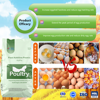SUSTAR GlyPro X811 0,1% Concentré de poulet en prémélange alimentaire – Qualité alimentaire pour volailles pondeuses et poulets de chair