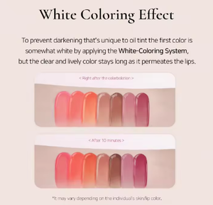 Dinto Le Chat Botte Collection Blur Jelly Plumping Lip Tint 775 Woody Gelee Korean Velvet Lip Makeup Tinte de larga duración - Product Image 3