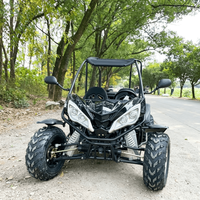 Buggy tout-terrain électrique 200cc à moteur essence LNA pour adultes – Idéal pour les excursions en forêt tropicale