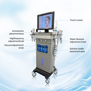Vertical Spa 18in1 Hydro Dermabrasion Co2 Bubble Cold Hammer Hydra Beauty Facial Machine Professional - Product Image 5