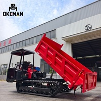 5 Tonnen Euro 5 Diesel Neuer Raupendumper mit Verstärktem Schwerlastchassis Linkslenkung Extrem Starke Steigfähigkeit