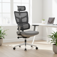 Chaise de bureau pivotante moderne en maille, ergonomique et réglable, au design élégant, avec structure métallique, vente en gros