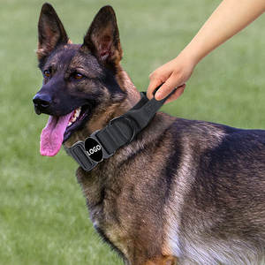 Groothandel Hondenhalsband Verstelbare Schokabsorberende Metalen Gesp Pet <span class=keywords><strong>Collar</strong></span> Traction Touw Riemen Tactische Hondenriem - Product Image 6