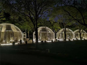 <span class=keywords><strong>Grand</strong></span> igloo en alliage d'aluminium personnalisé, insonorisé, transparent, <span class=keywords><strong>maison</strong></span> de jardin, tente dôme pc, à <span class=keywords><strong>vendre</strong></span> - Product Image 6