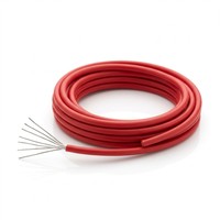 Transmisi Sinyal Presisi Tembaga Berlapis Perak Berisolasi PTFE Tahan Suhu Tinggi 600V Konduktor Terpilin Berperingkat 600V Kabel AF-250