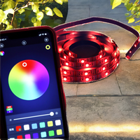 Twinklight 24V 3535 Lampu Strip LED Neon Fleksibel RGB DIY Kontrol Aplikasi Pintar & USB Dapat Diredupkan untuk Kamar Tidur & Lanskap PVC