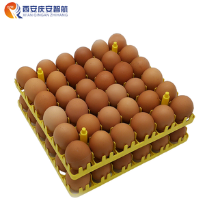 Plateau de transport PP QZH pour 36 œufs de poule pondeuse, emballage de haute qualité pour poulailler, prix usine - Product Image 4