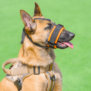 NUEVO Bozal para Perro Anti-mordidas y Anti-ingestión, Transpirable, Ajustable, para Mascotas - Product Image 3