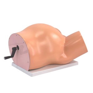Simulateur d'accouchement mécanique avec accouchement en rotation-Modèle de formation obstétrique avancée pour l'éducation des sages-femmes - Product Image 3