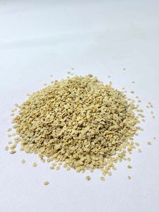 เมล็ดพันธุ์มะเขือเทศไฮบริด Botani Diva F1: ผลผลิตสูง อายุการเก็บรักษายาวนาน ผู้จัดจำหน่ายเมล็ดพันธุ์ - Product Image 4