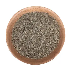 High Quality Organic Cumin Dry Spices Natural Granule Seasoning Raw Processed Cumin Seeds