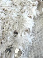 Tissu en plumes et sequins tricoté, écologique et luxueux, pour robes de mariée, chaussures, sacs - Vêtements inspirés des motifs animaliers pour filles et garçons