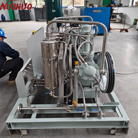Compresseur de surpression d'azote NUZHUO à économie d'énergie pour le remplissage de bouteilles, station de remplissage d'azote, avec certifications CE ISO TUV