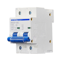 Disjoncteur miniature 2P DC 500V avec protection contre les surtensions, en cuivre, 100A NC Mini MCB, capacité de coupure 10kA, rail CE